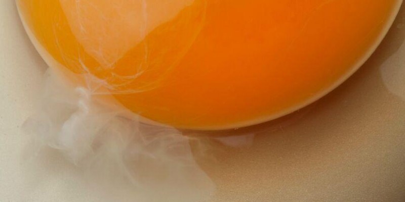 O que é aquele negócio branco na gema do ovo - será que é o esperma do galo?